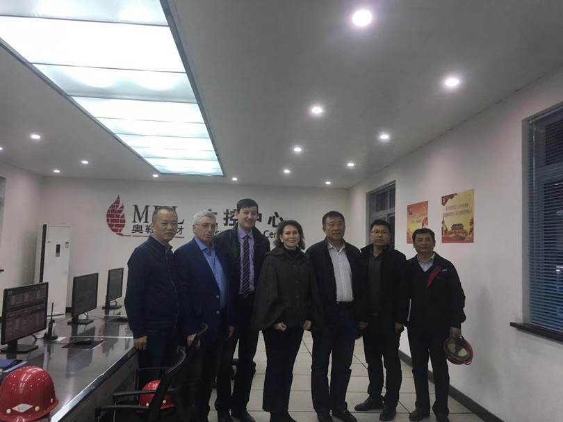 德國 VGH Viktoria Garten Hüttenindustriebedarf  AG 公司來訪</a>